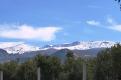 Granada-1