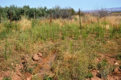 2020-09-26-GVS-Zona-Acamada-Jerez-del-Marquesado11