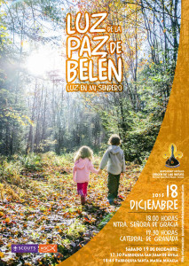 Cartel Luz de Belén 2015 VdN